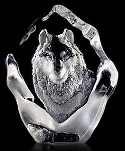 Mats Jonasson Wildlife Wolf 33547