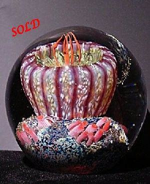 Richard Satava Purple Anemone - Sold and Discontinued
