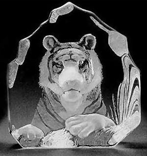 Mats Jonasson Bengal Tiger - Etched Glass MJ 33611