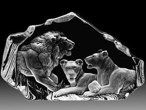 Mats Jonasson Lion Family