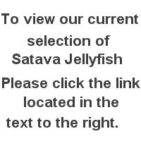 SATAVA link info