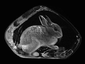 Mats Jonasson Etched Crystal Rabbit MJ 33738