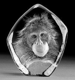 Mats Jonasson Orangutan Cub - MJ 33741