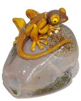Lizard on Rock by Stuart Abelman