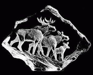 Mats Jonasson Moose Family Crystal Etched Sculpture MJ 33636