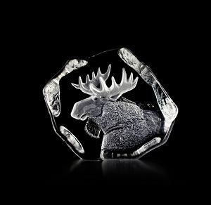 Mats Jonasson Wildlife Moose- 33750