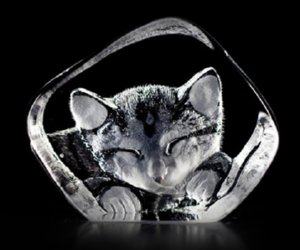 Mats Jonasson Cat - Miniature Crystal Etched Sculpture MJ 88143