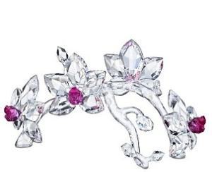 Swarovski Orchids Branch - Archived Data