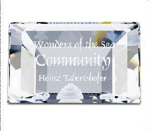 2007 SCS Swarovski Community Plaque, SCS -Archived Data