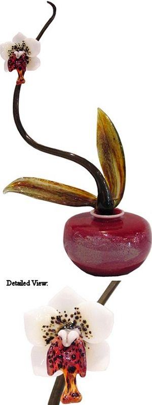 Phaelonopsis Orchid by Eric Edner