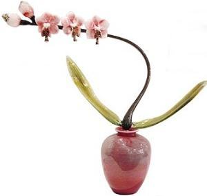 Phaelonopsis Orchid Red by Eric Edner