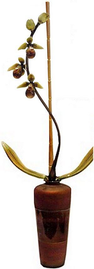Phaelo Green Orchid by Eric Edner
