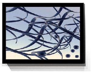 Digital Art Print SP-W87