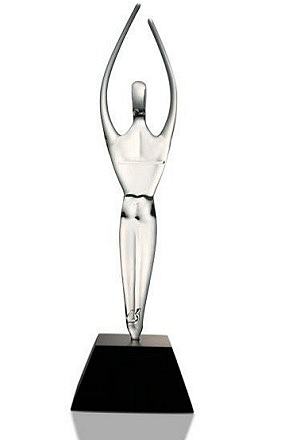 Reaching For The Stars Achievement Award