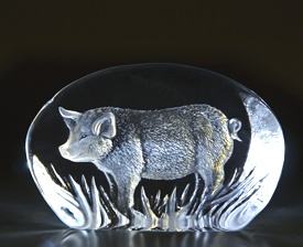 Pig-Etched Glass by Mats Jonasson - MJ 33923