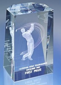 Custom Laser Photocrystal Showcase Award - more sizes available