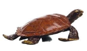 Alex The Sea Turtle Bronze Paperweight sale
