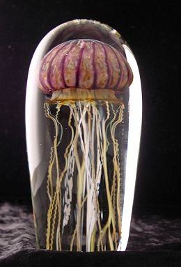 Purple Ribbed Jellyfish by Richard Satava
