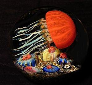 Satava Pacific Coast Side Swimming Jellyfish special order