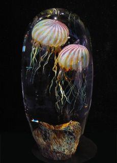 Richard Satava Dbl. Passion Moon Jellyfish Magnum Size