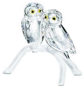 Swarovski Medium Owl