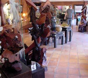 Crystal Fox Gallery Redwood Sculptures Display