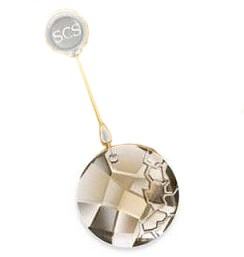 2010 SCS  Earth Ornament - Retired
