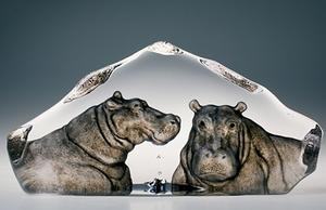 Mats Jonasson Hippopotamuses