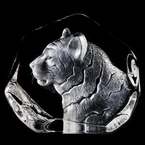 Mats Jonasson Tiger, New for 2010