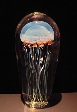 Richard Satava Blue Moon Magnum Sized Jellyfish