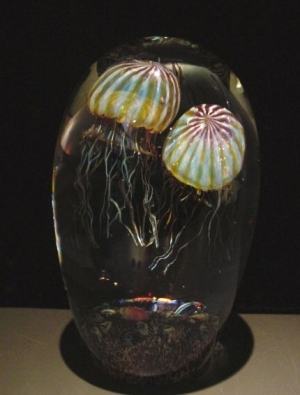Richard Satava - Double Passion Moon Jellyfish, Magnum Size