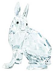 SCS 2011 Arctic Hare