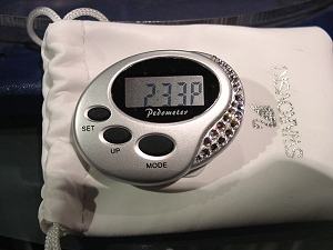 Swarovski Pedometer GWQP
