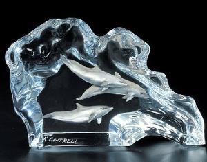 Dolphin Wave