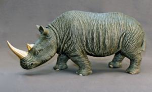 Barry Stein White Rhinoceros