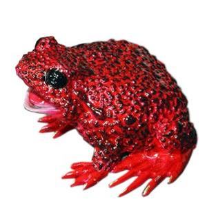Boobala Red Bronze Frog by Barry Stein