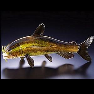 Catfish Art Glass Sculpture by Michael Hopko