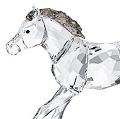 2014  SCS Foal