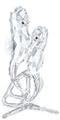 SEA HORSES -