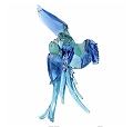 Swarovski Blue Parrots