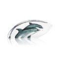 Dolphins