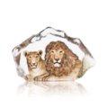 Wildlife Lion Ltd Ed