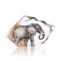 Wildlife Elephant Ltd Ed