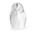 Safari Owl