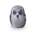 Safari Owl