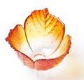 Folia Autumn light bowl