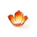 Folia Autumn light bowl