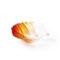 Folia Autumn bowl (small)