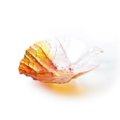 Folia Autumn bowl (medium)