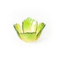 Folia Spring light bowl